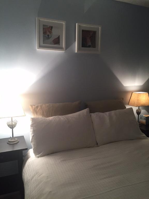 Illshaw Heath Farm Guest Lodge ホックレイ・ヒース 部屋 写真